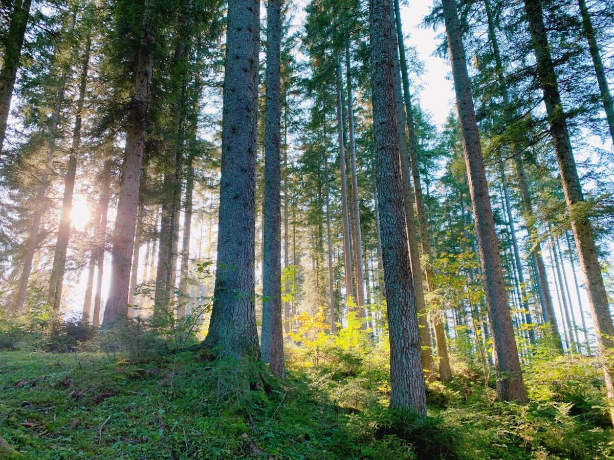 Ausseerhaus Im Gruenen Aussere Kainisch Ngoại thất bức ảnh